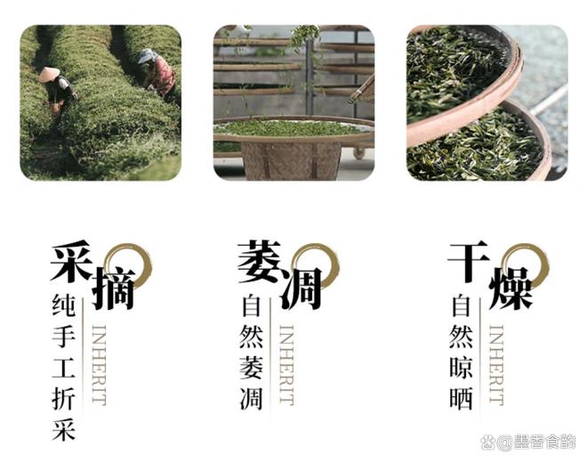 针：一盏白茶里的千年匠心开元棋牌郑莲英特级白毫银(图3)