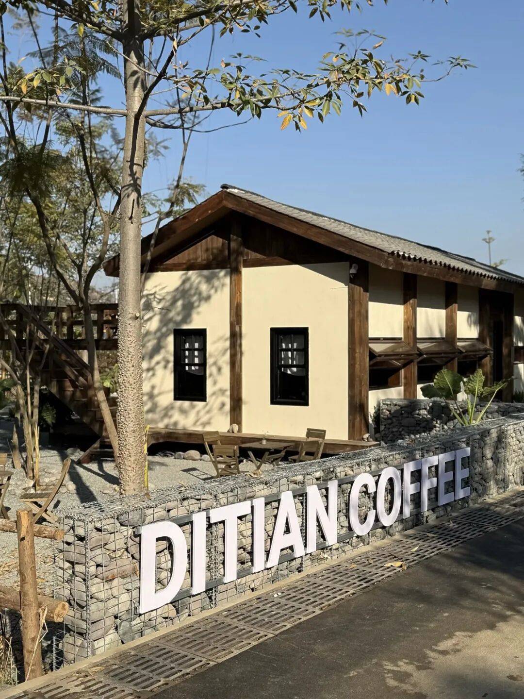 野90后返乡青年的咖啡创业记开元棋牌网站让咖啡香漫进田