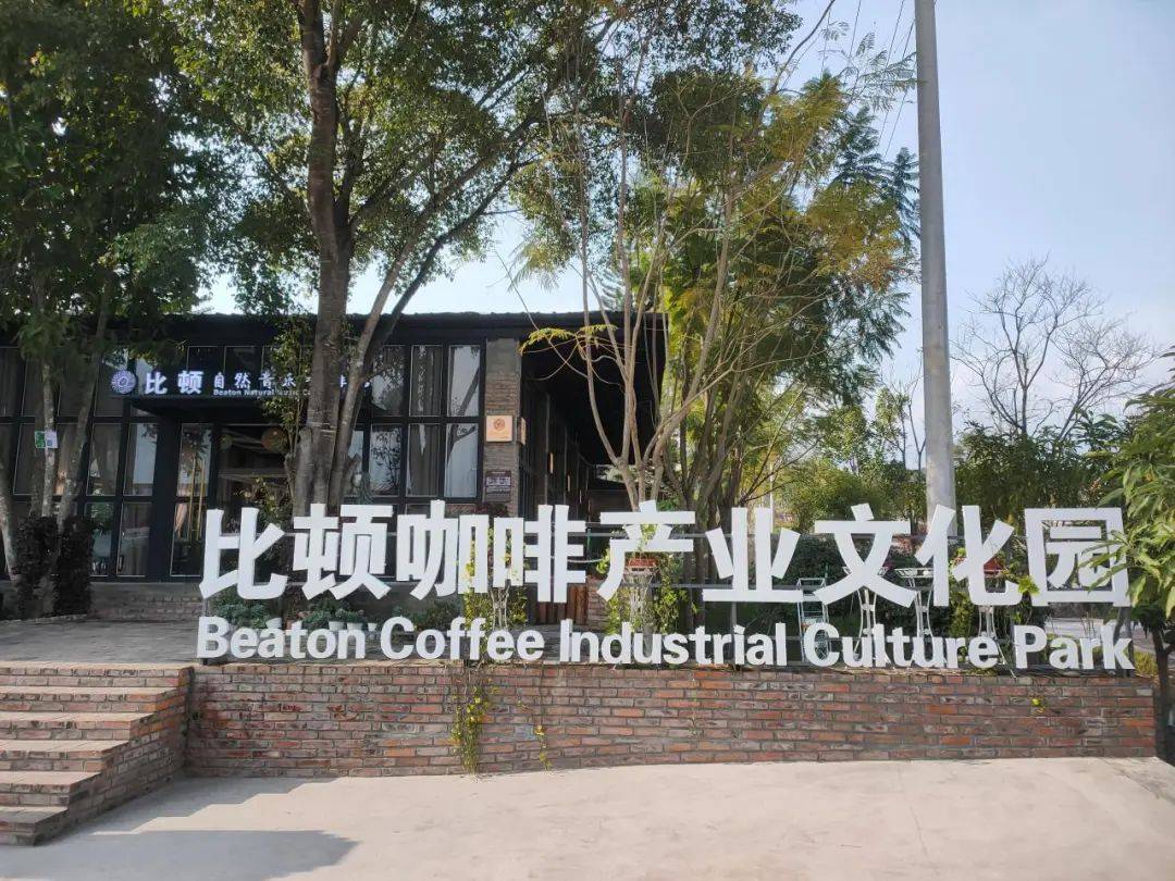合发展 推动特色产业兴旺开元棋牌隆阳：咖啡产业融(图4)