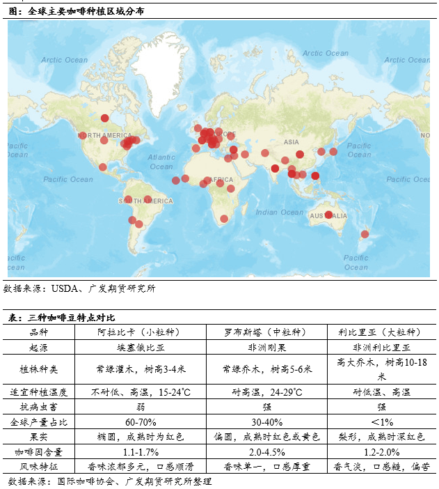 啡品种简介及国际主流期货概览开元棋牌咖啡系列专题上篇：咖(图4)