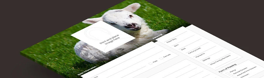 Freebie: Download the 'Build Your Saint Profile' Worksheet - Lamb