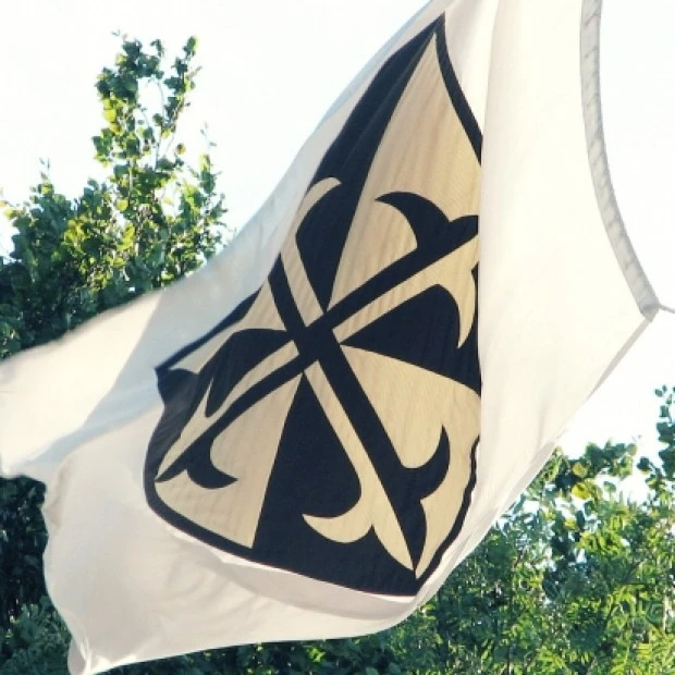 Group logo of Dominican Saints